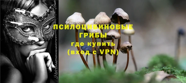 бутират Баксан